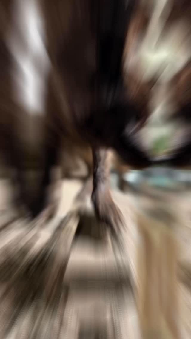 michaelperryart