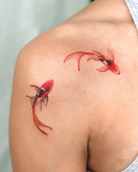 Animal, Nature, 나방
