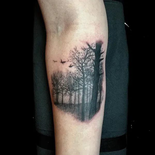 Nature, 고딕, 나무, 다리