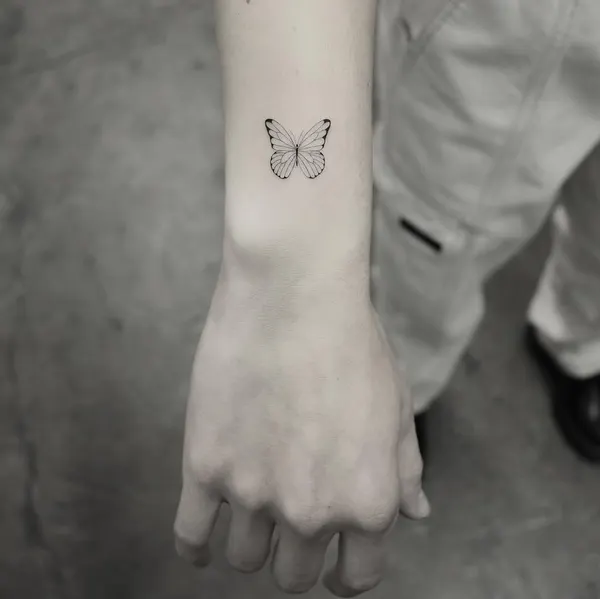 Animal, Nature