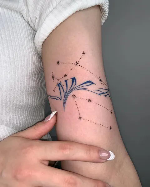 별, 불가사리, 사수자리, 염소자리, 황소자리, 물고기자리, 별들, 혜성