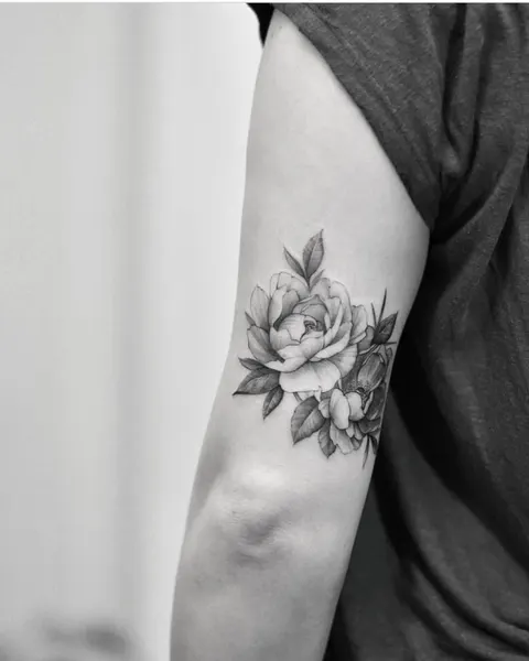 Flower, Rose