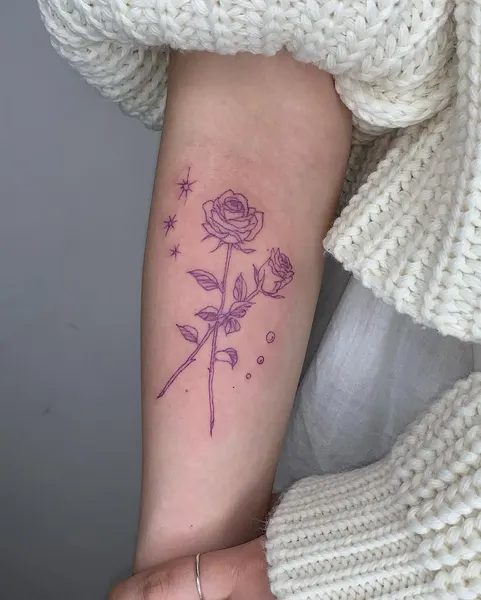 Flower, Rose