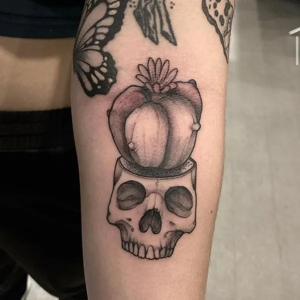 Flower, 선인장