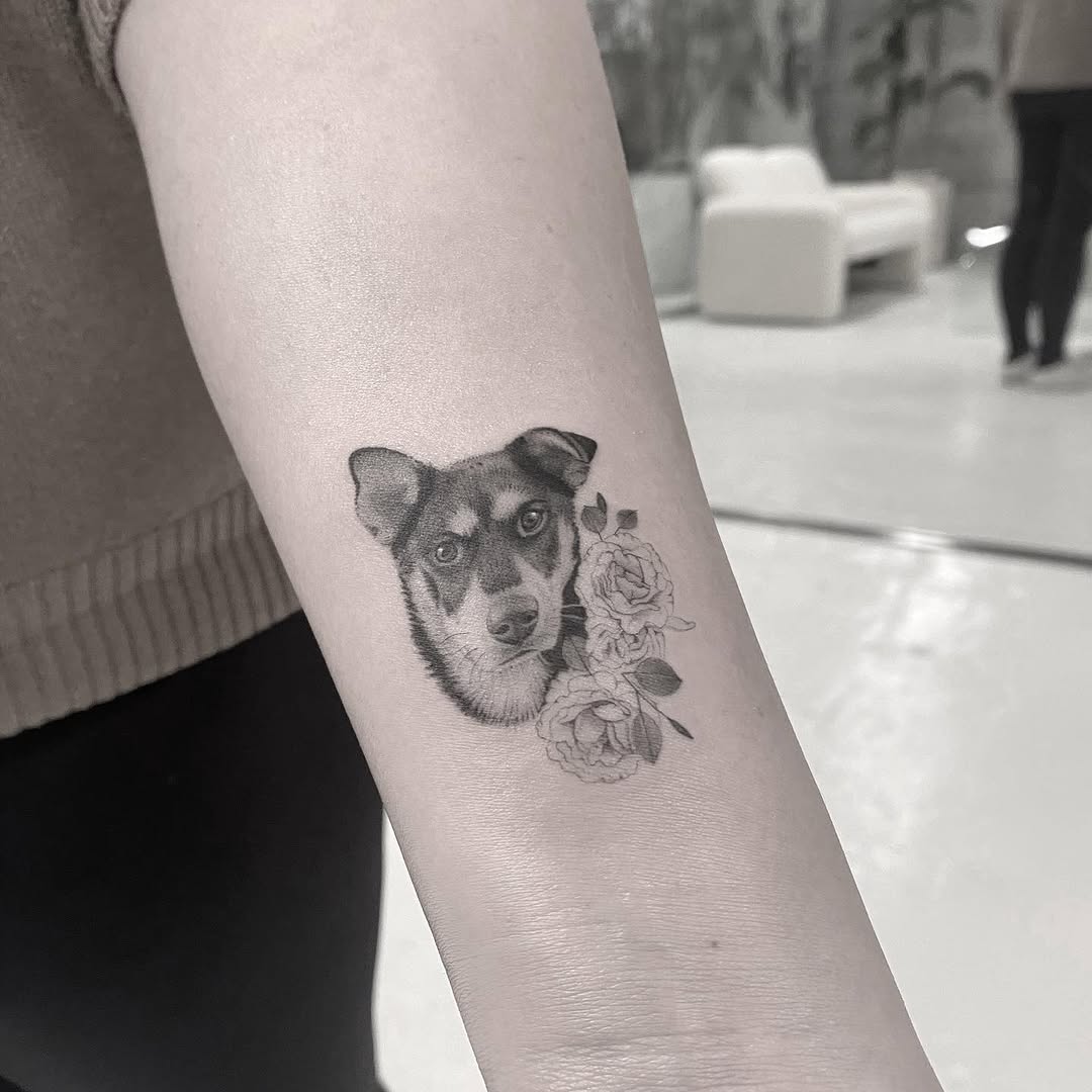 강아지, 발자국, 코알라, 반려동물, 반려동물 추모, 충성, 너구리, 다람쥐, Animal