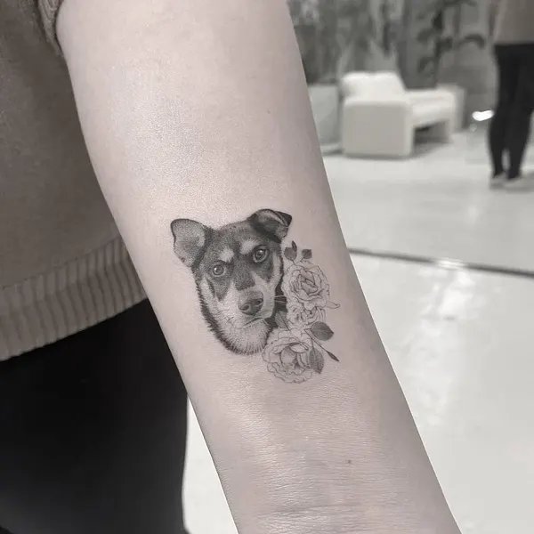강아지, 발자국, 코알라, 반려동물, 반려동물 추모, 충성, 너구리, 다람쥐, Animal