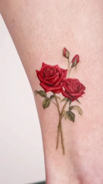 Flower, Rose
