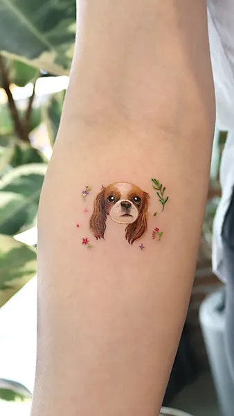 Animal