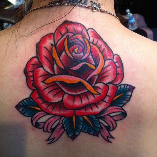 Flower, Rose, Nature