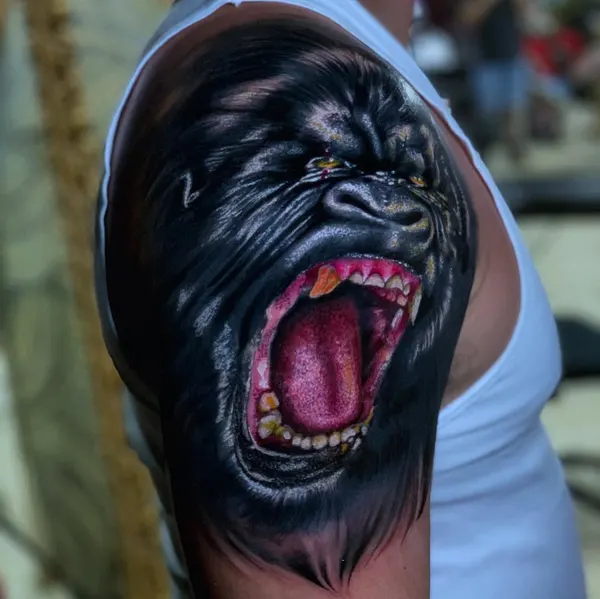 Tiger, Animal
