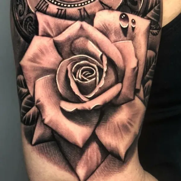 Flower, Rose