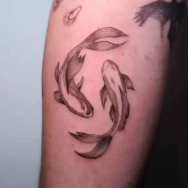 Animal, Nature