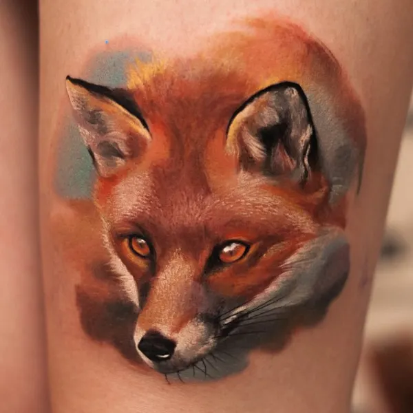 Animal, 여우