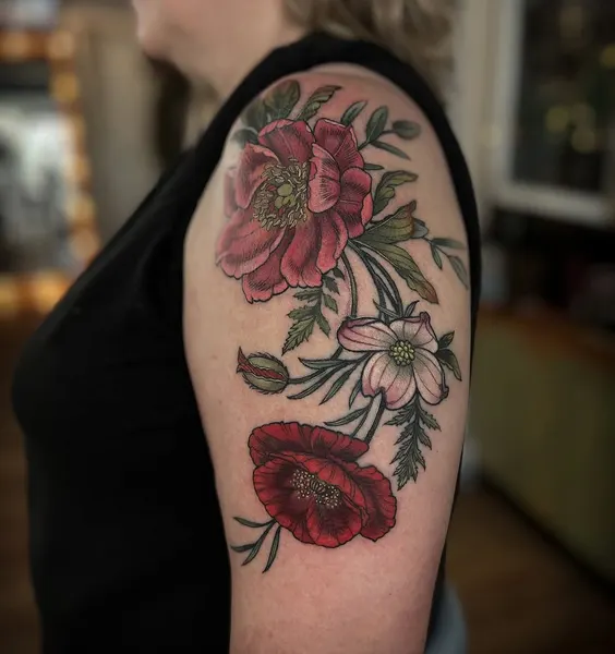 Flower, Rose, Nature
