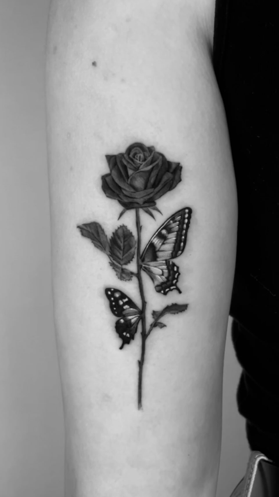 Flower, Animal, Nature