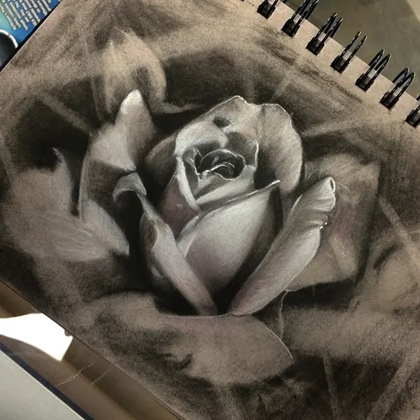Flower, Rose