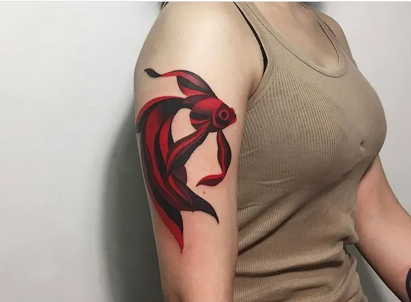 equilattera