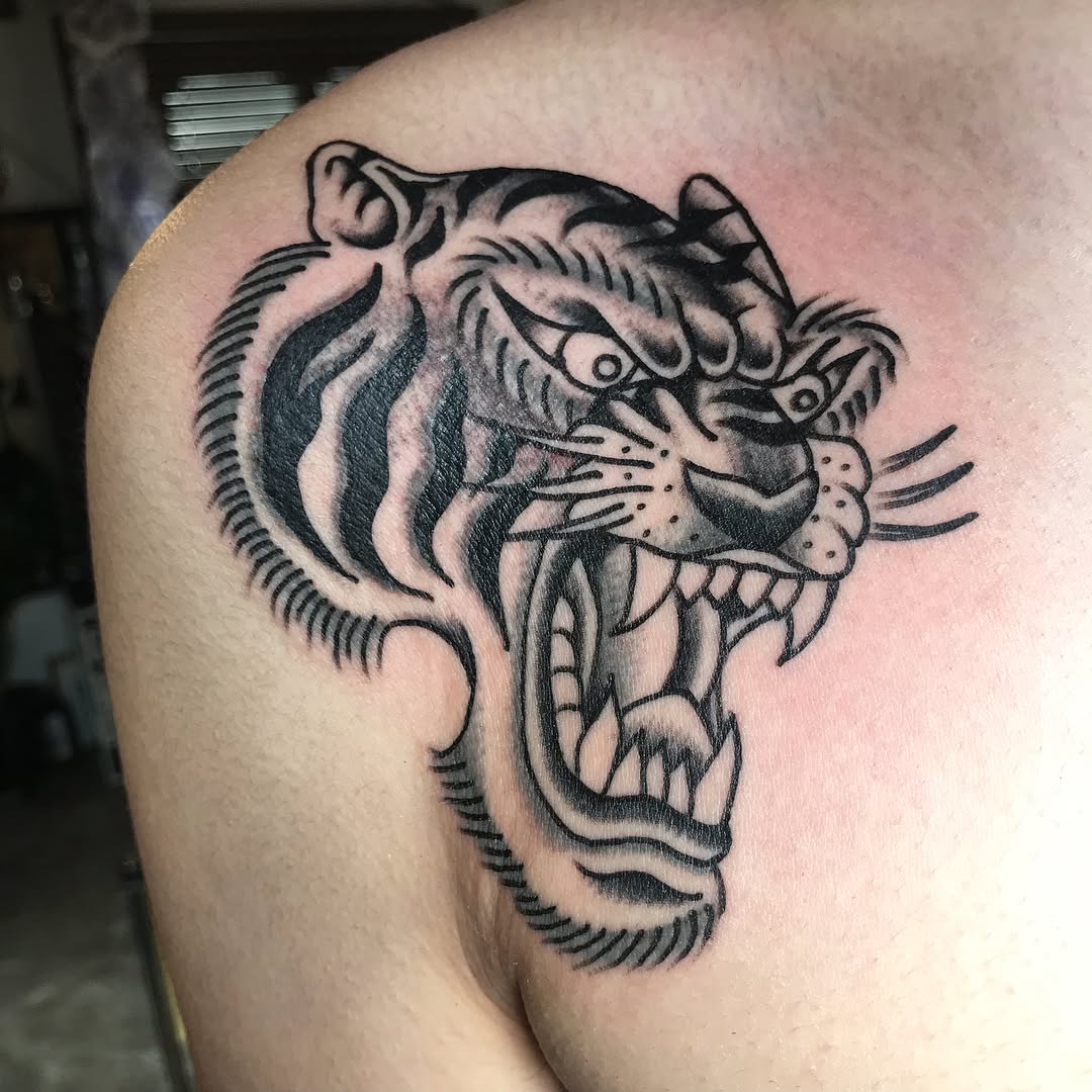 Tiger, Animal, 재규어, 한국 호랑이, 팬서