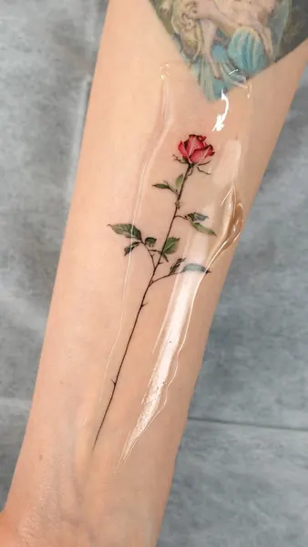 Flower, Rose