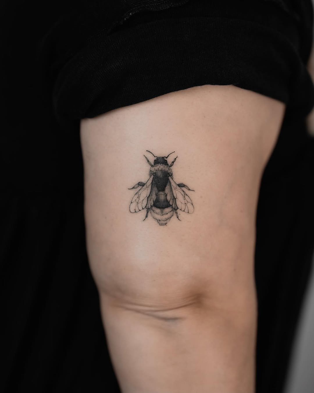 Animal, 벌