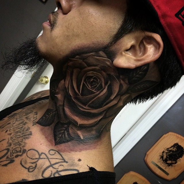 Flower, Rose, Nature