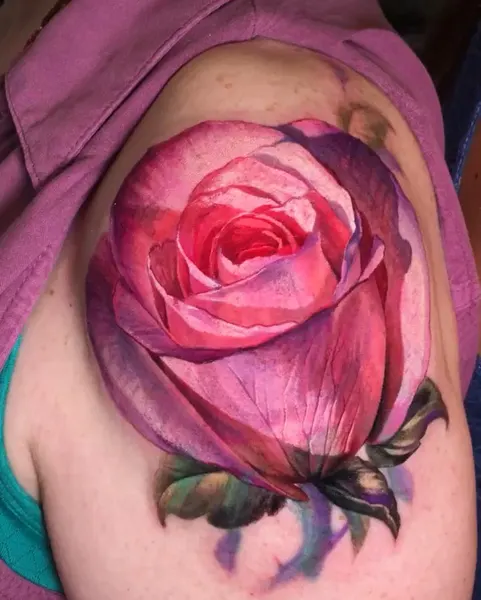 Flower, Rose, Nature