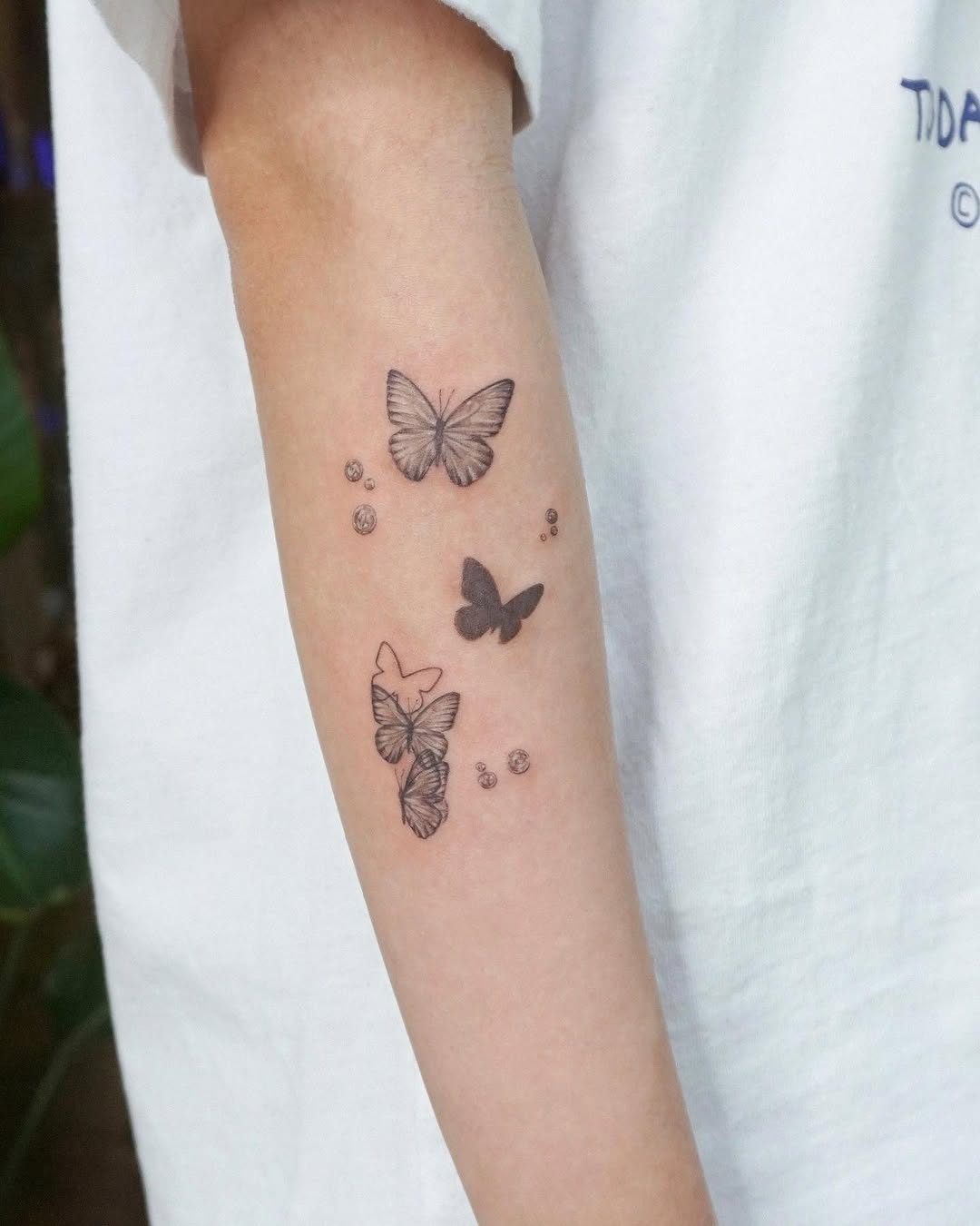 Nature, Animal, 나비