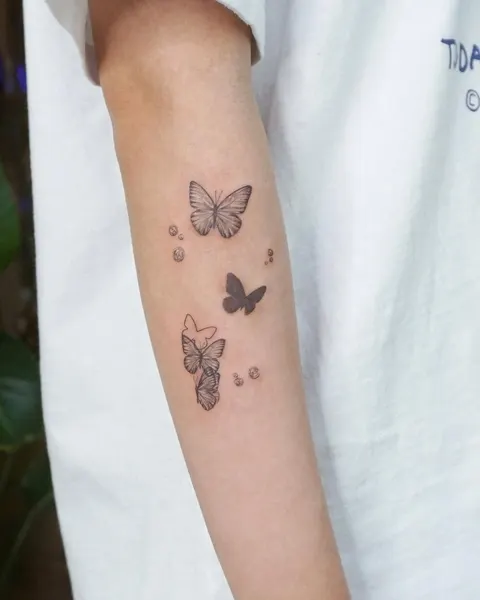 Nature, Animal, 나비