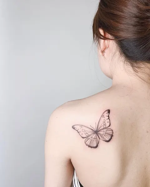 Animal, Nature, 나비, 나방