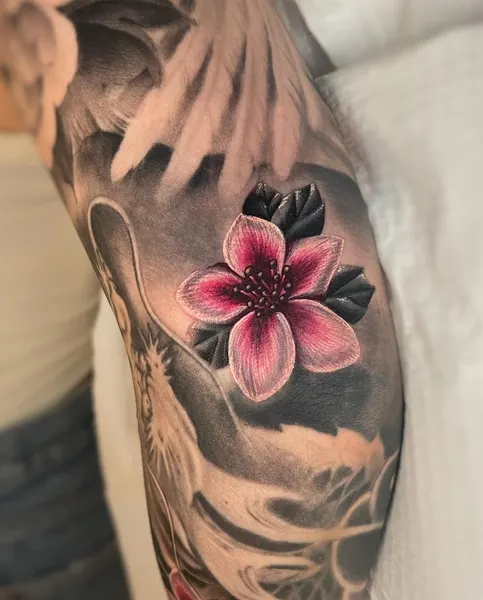 매화, Flower, Rose