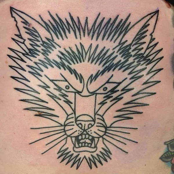 Tiger, Animal, 팬서