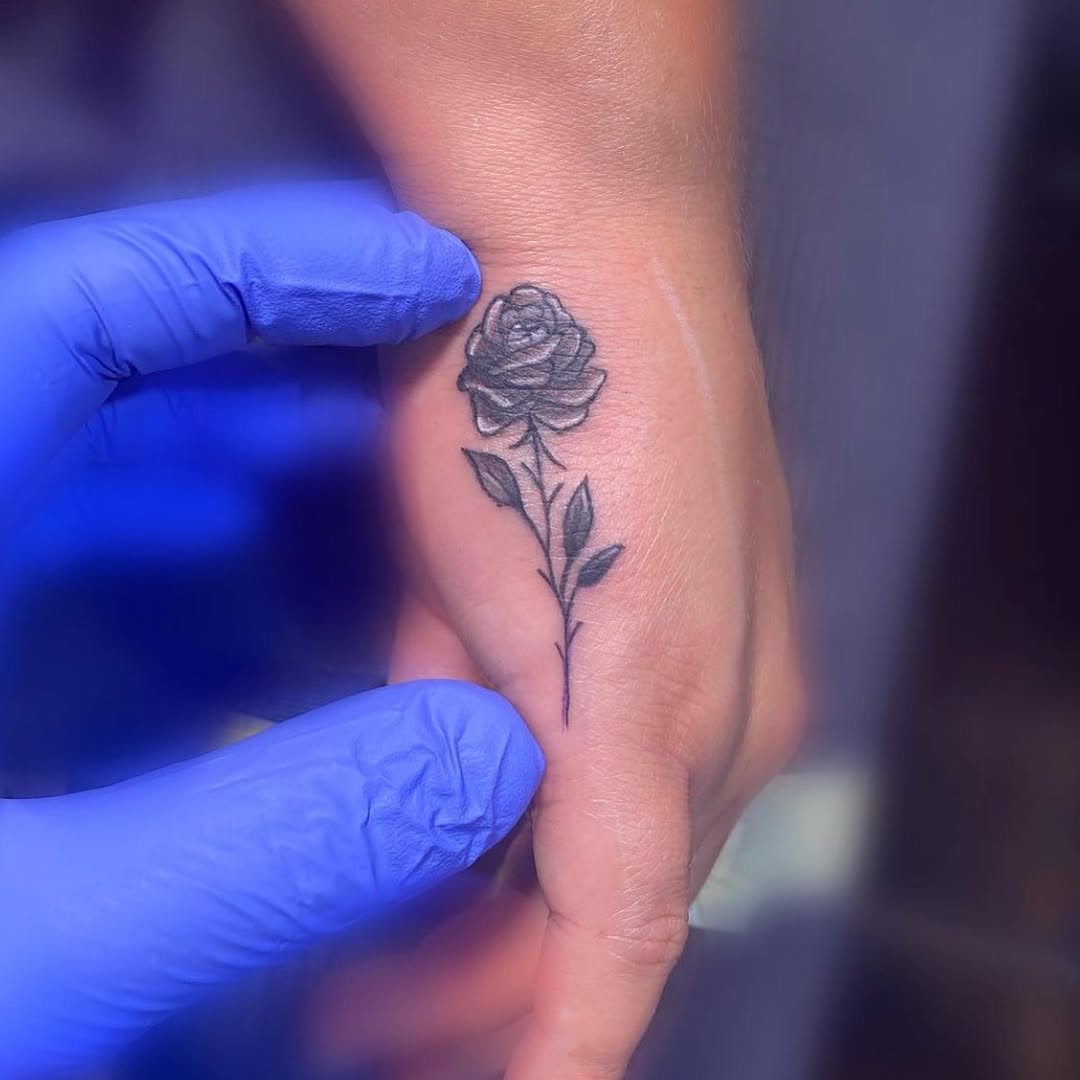 Flower, Rose