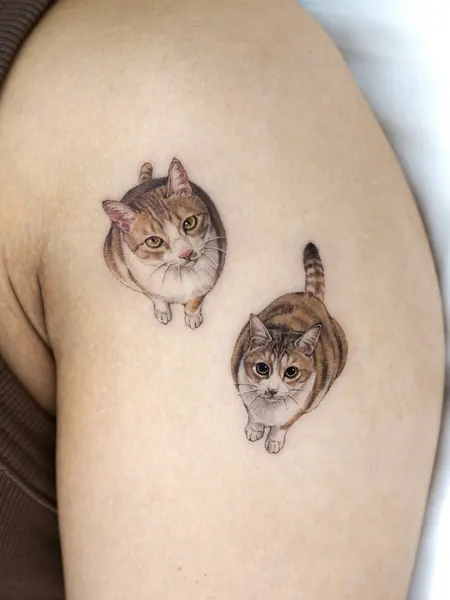 고양이, 마네키네코, 여우 가면