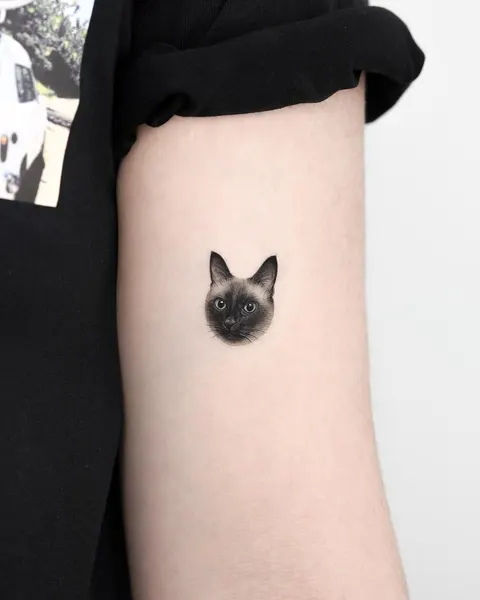 고양이