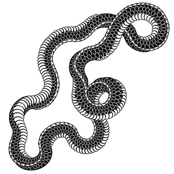 Dragon, Snake