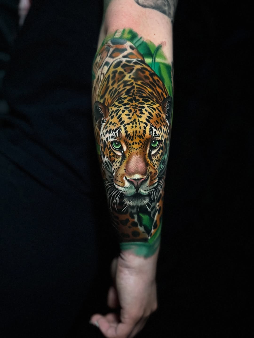Animal, 치타, 표범, 재규어