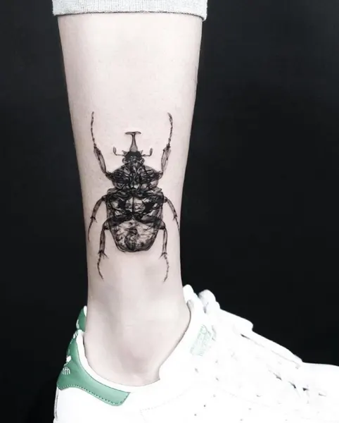Dragon, 악어, 잉어, 도마뱀