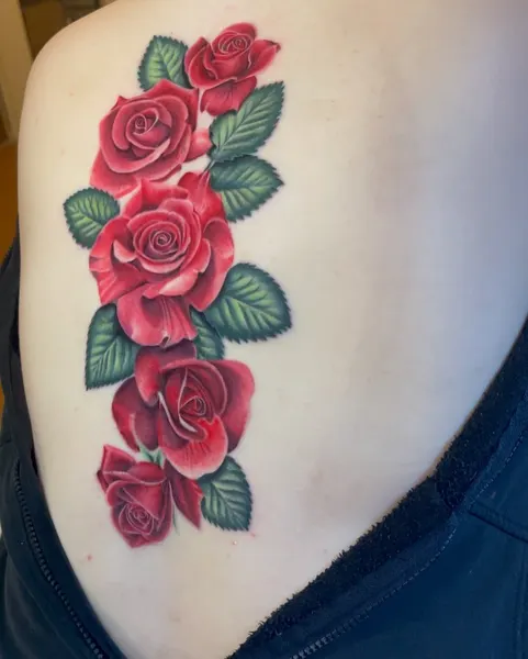Flower, Rose, Nature