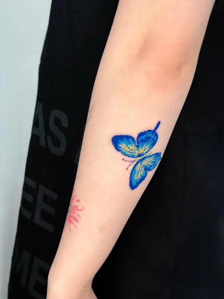 백합, Nature, Animal, 아이리스