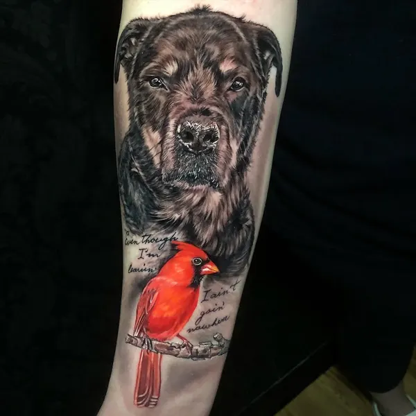 Animal