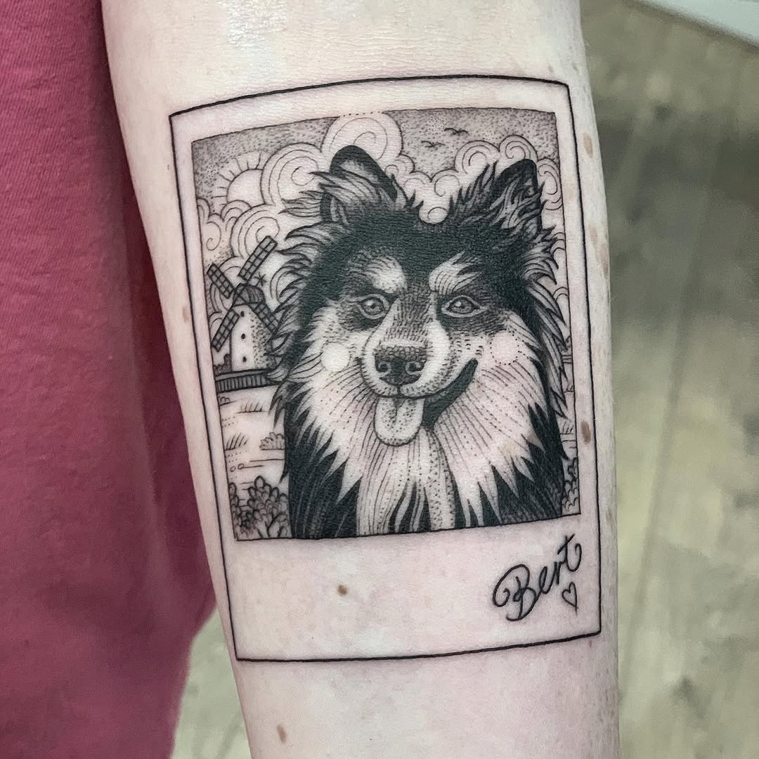 Suflanda