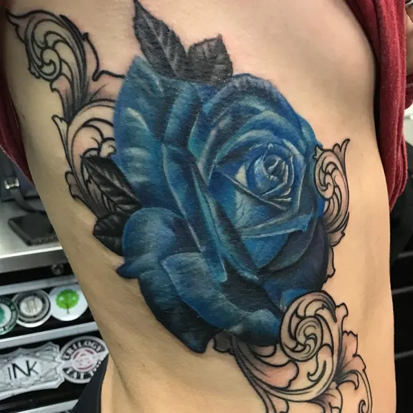 Flower, Rose, Nature