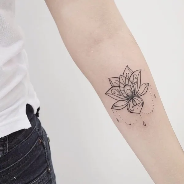 Flower, 모란, 연꽃, 데이지
