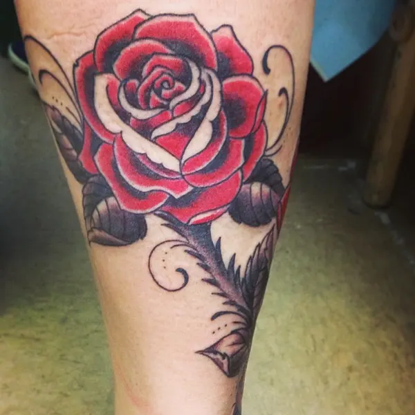 Flower, Rose
