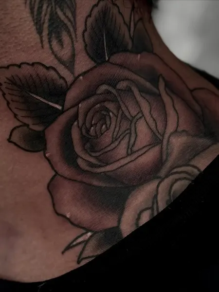Flower, Nature, Rose