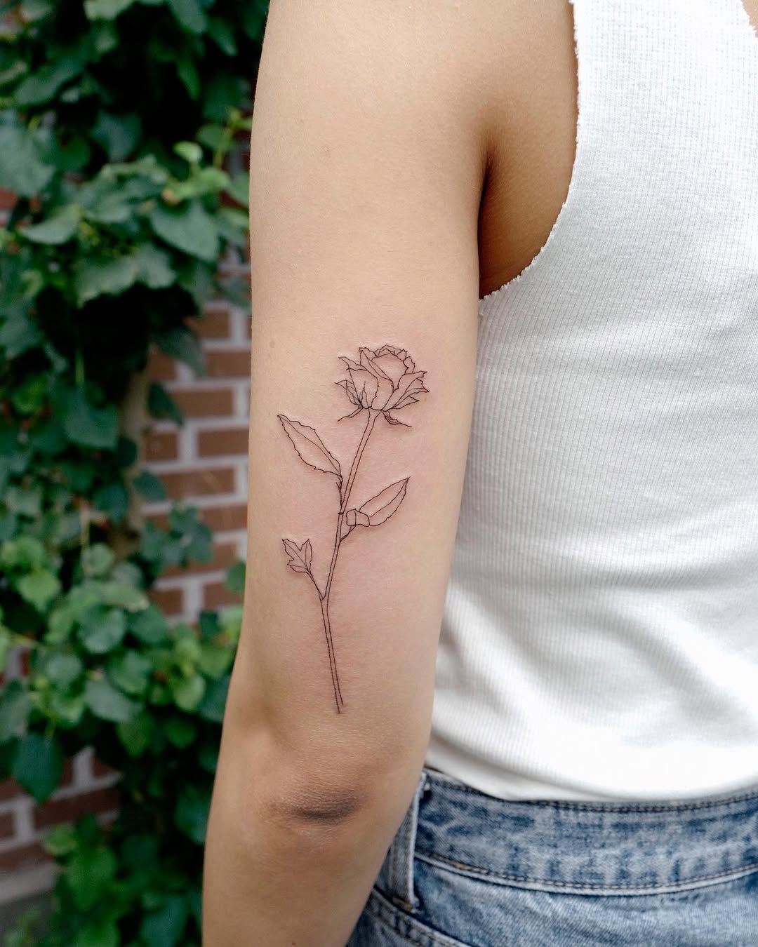 Flower, Rose