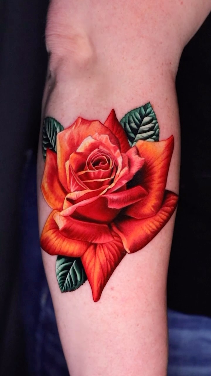 Rose, Flower