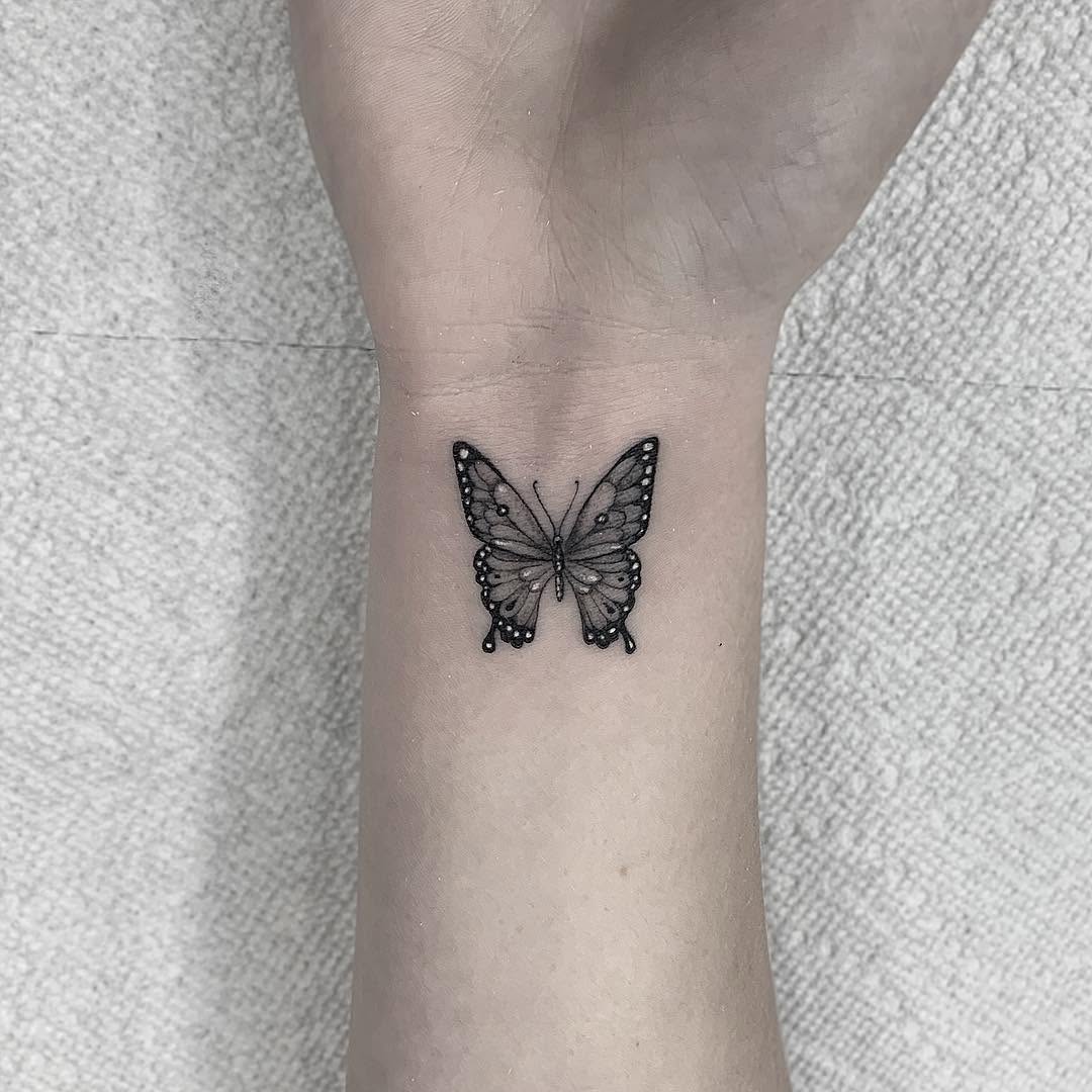 Animal, Nature