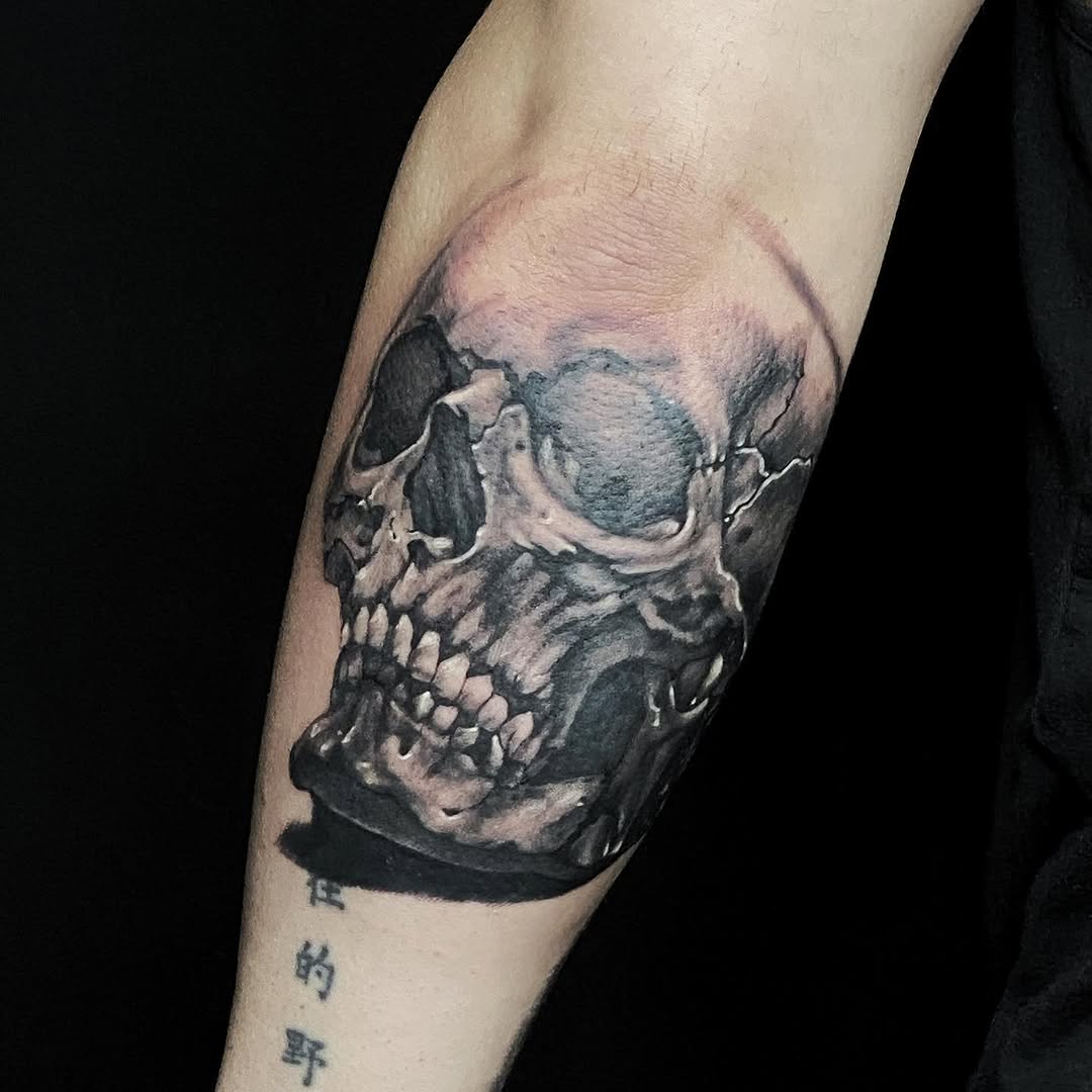 뼈, Skull