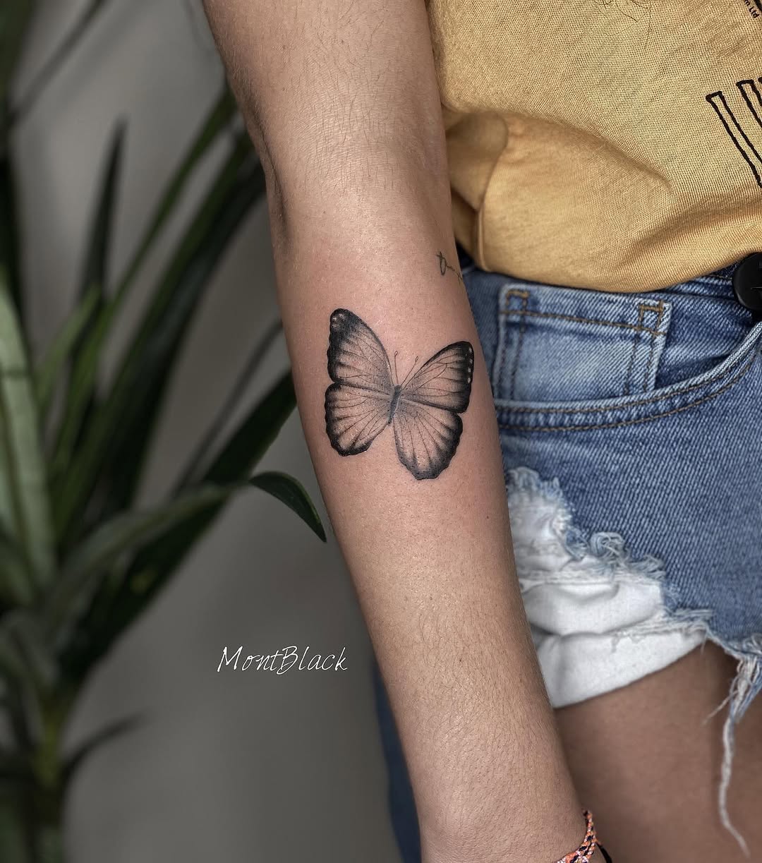 Animal, Nature, 나비